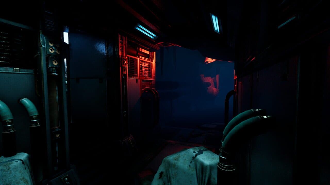 Thalamus thumbnail 6