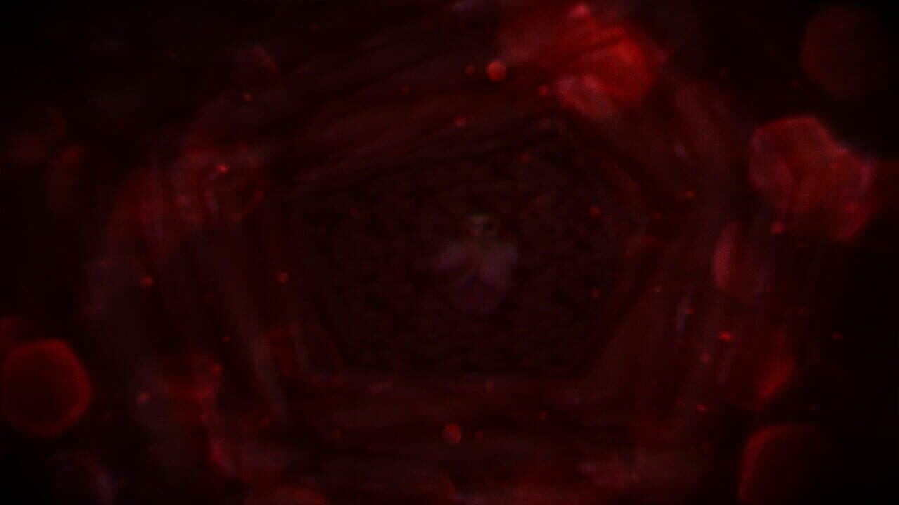 Please Duology thumbnail 8