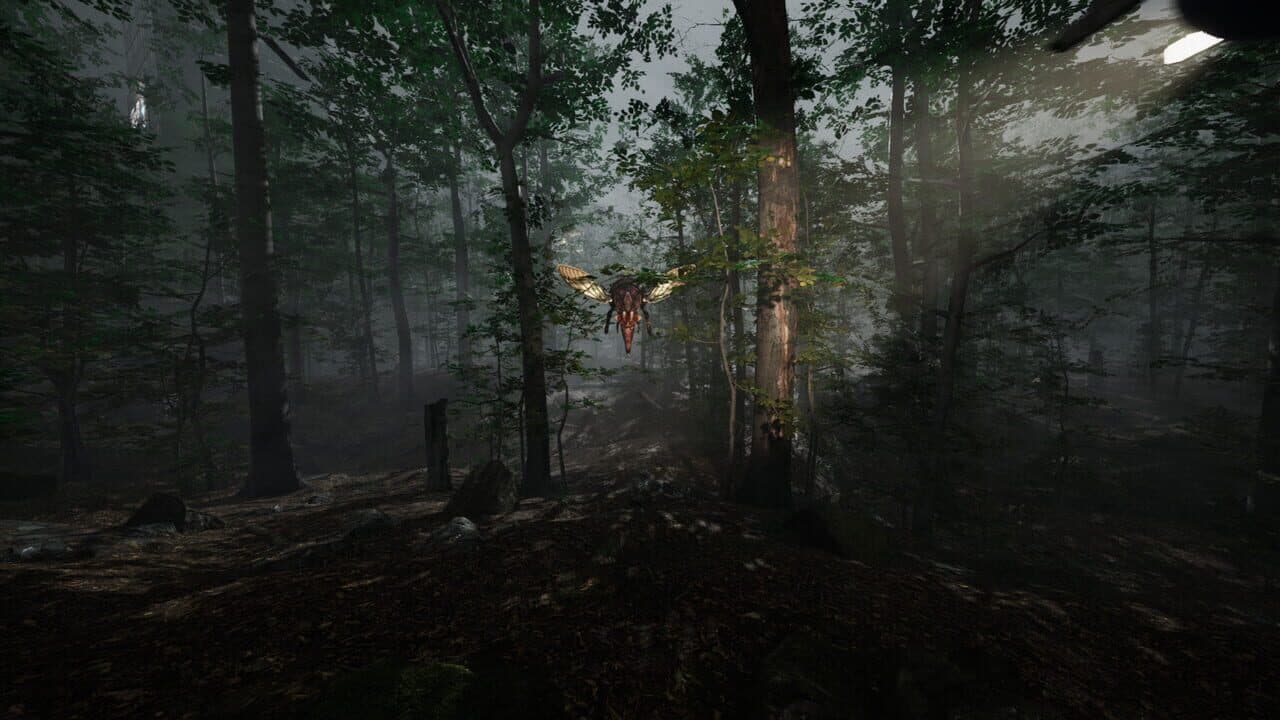 Remoteness thumbnail 5