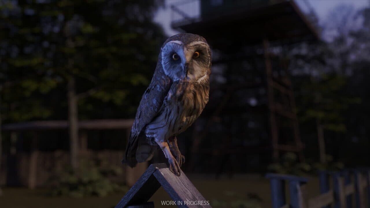 Birding Simulator thumbnail 2