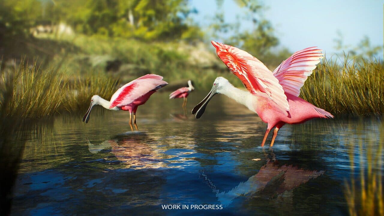 Birding Simulator thumbnail 3