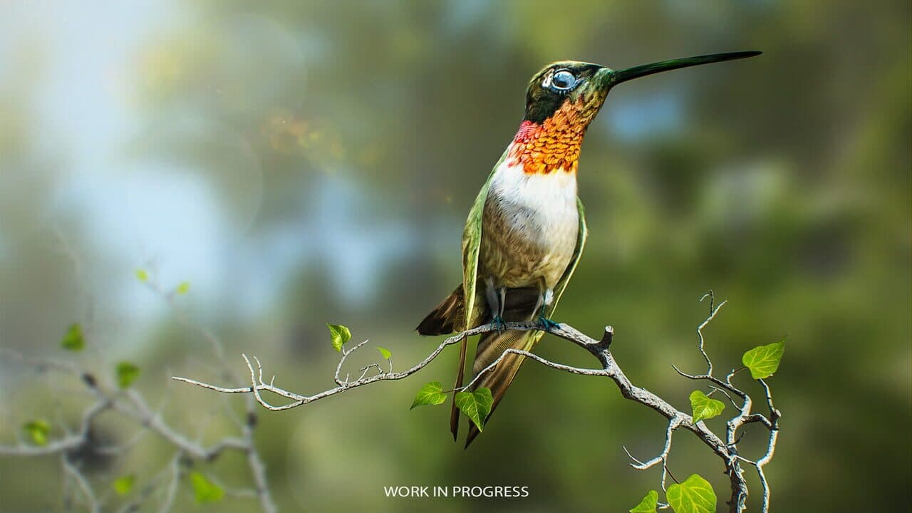 Birding Simulator thumbnail 5