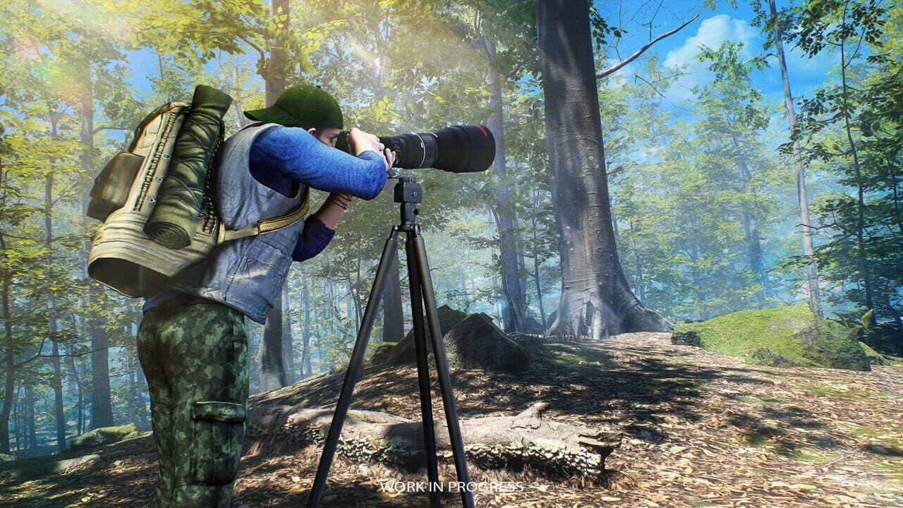 Birding Simulator thumbnail 7
