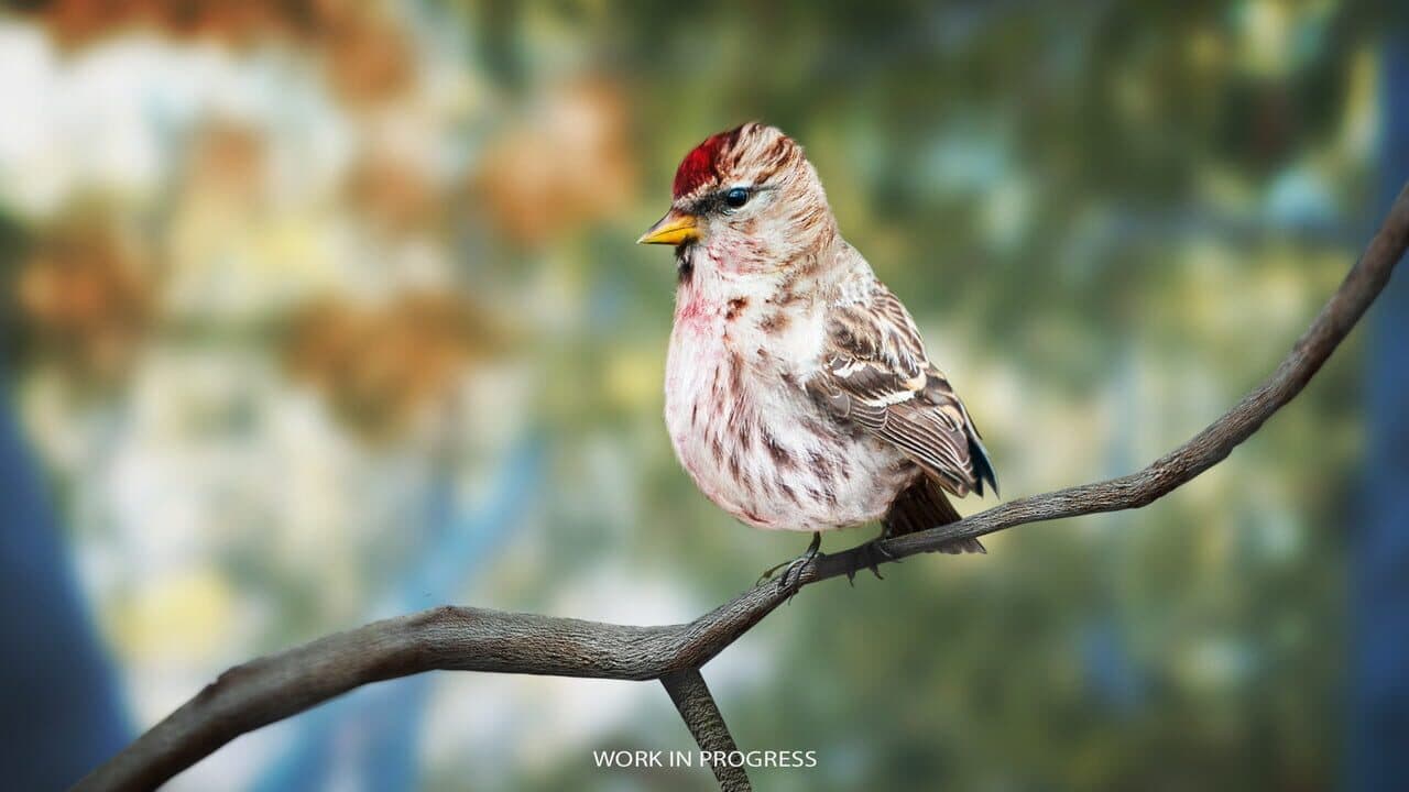 Birding Simulator thumbnail 9