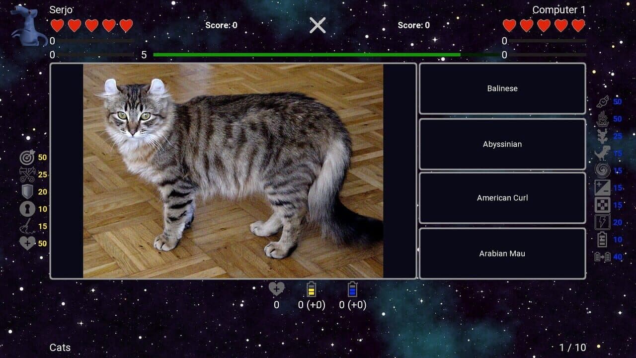 I've Seen Everything: Cats thumbnail 2