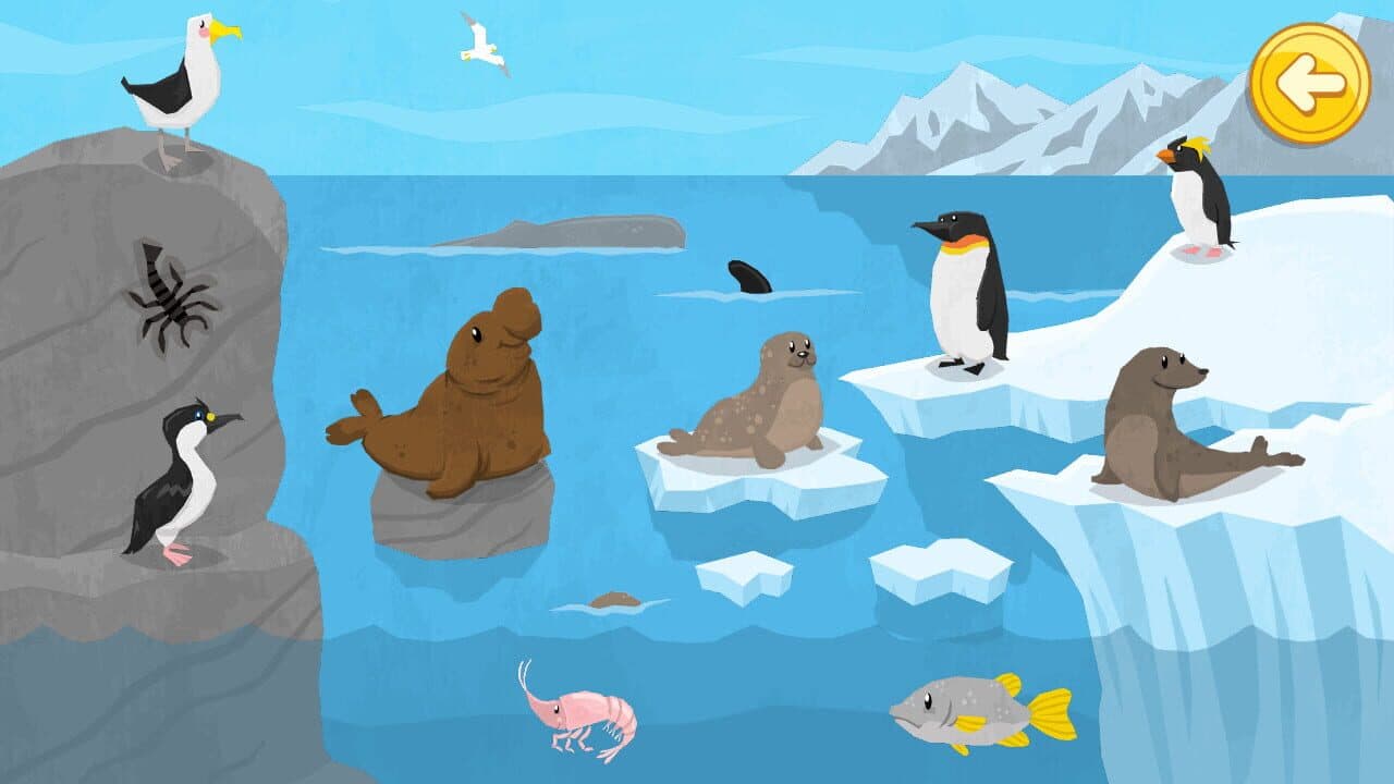Big Toddlers and Kids Bundle thumbnail 4