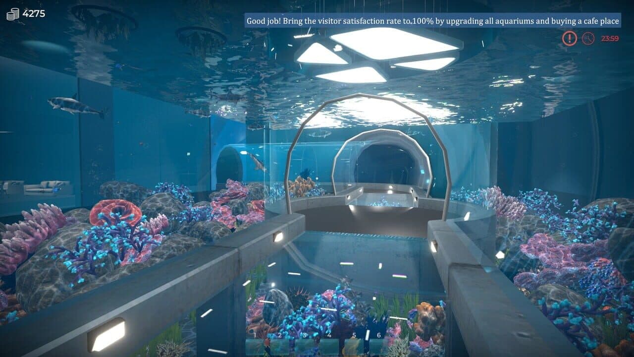 Aquarist thumbnail 3