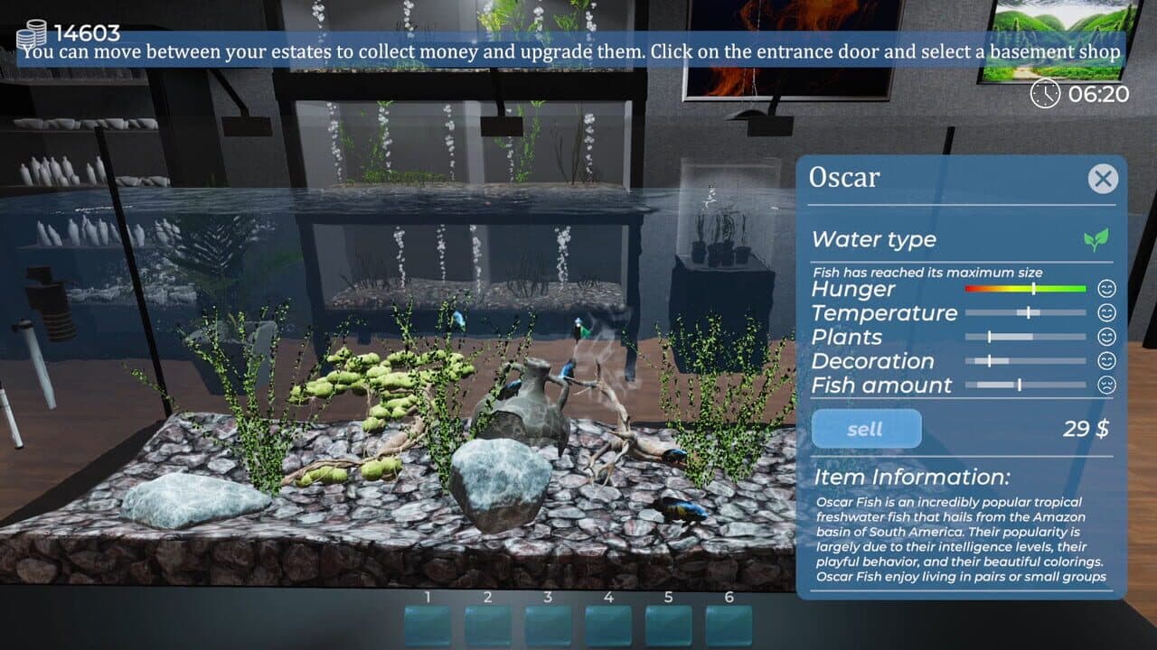 Aquarist thumbnail 8