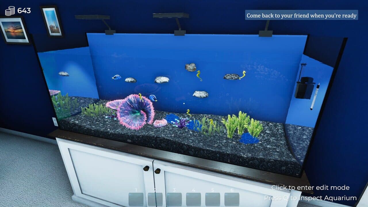 Aquarist thumbnail 11
