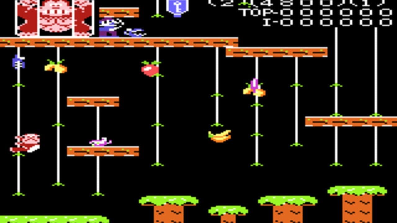 Donkey Kong Junior screenshot 1