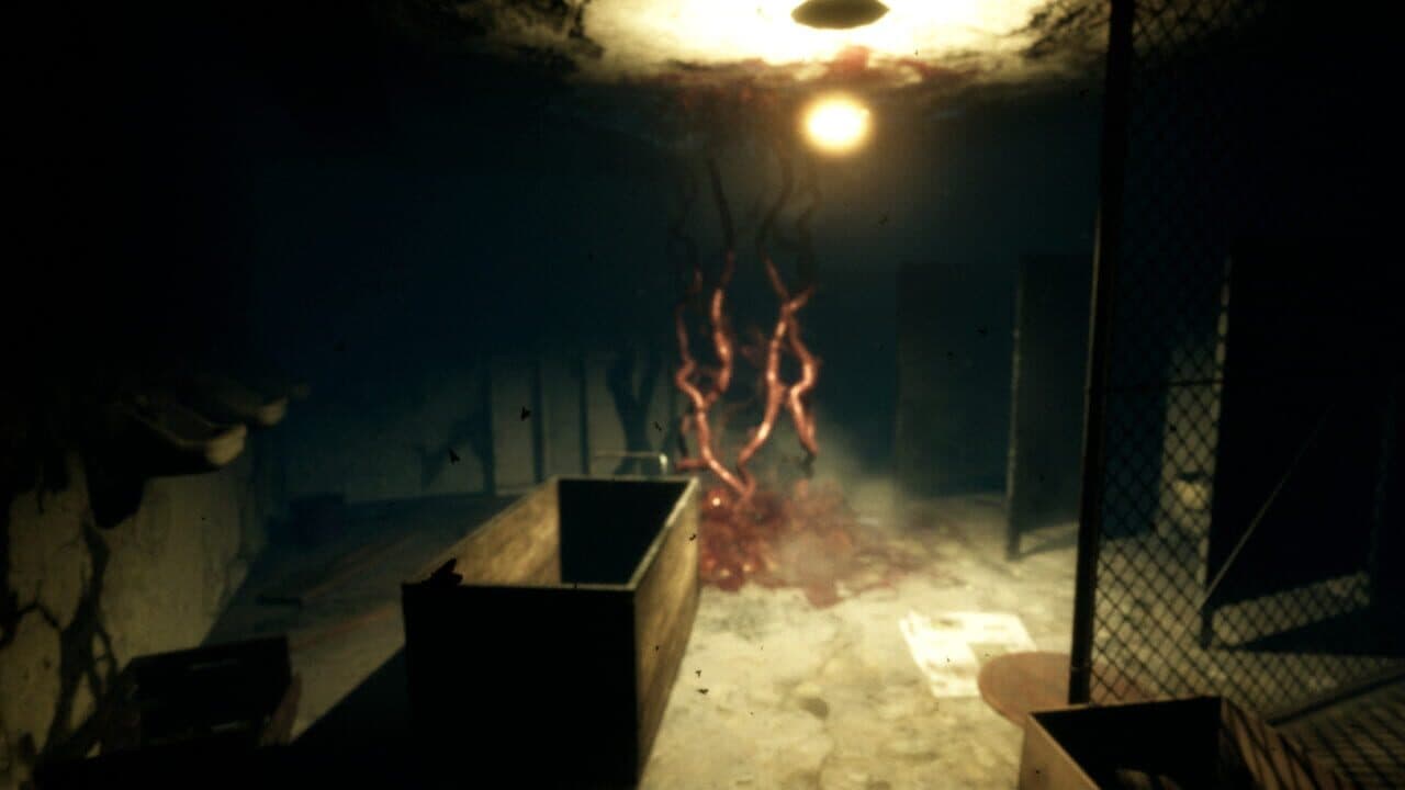 Nebraska thumbnail 6