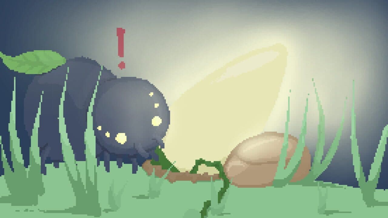 Berry thumbnail 4