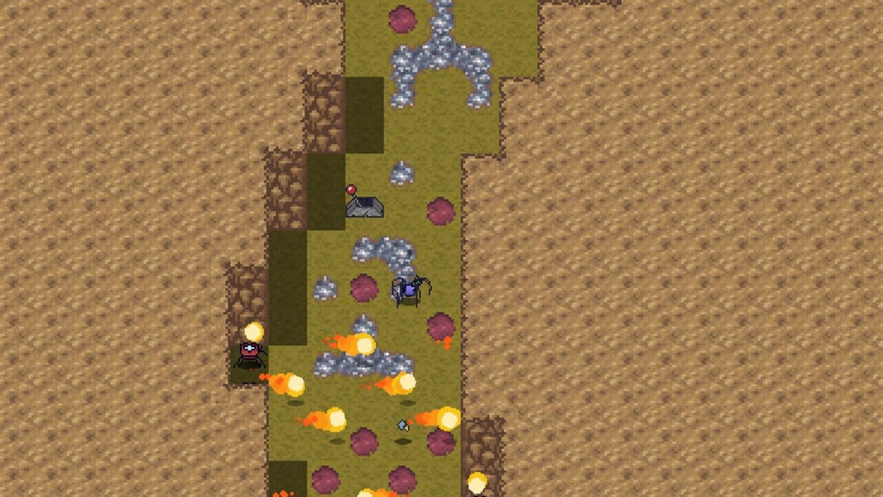 Berry thumbnail 6