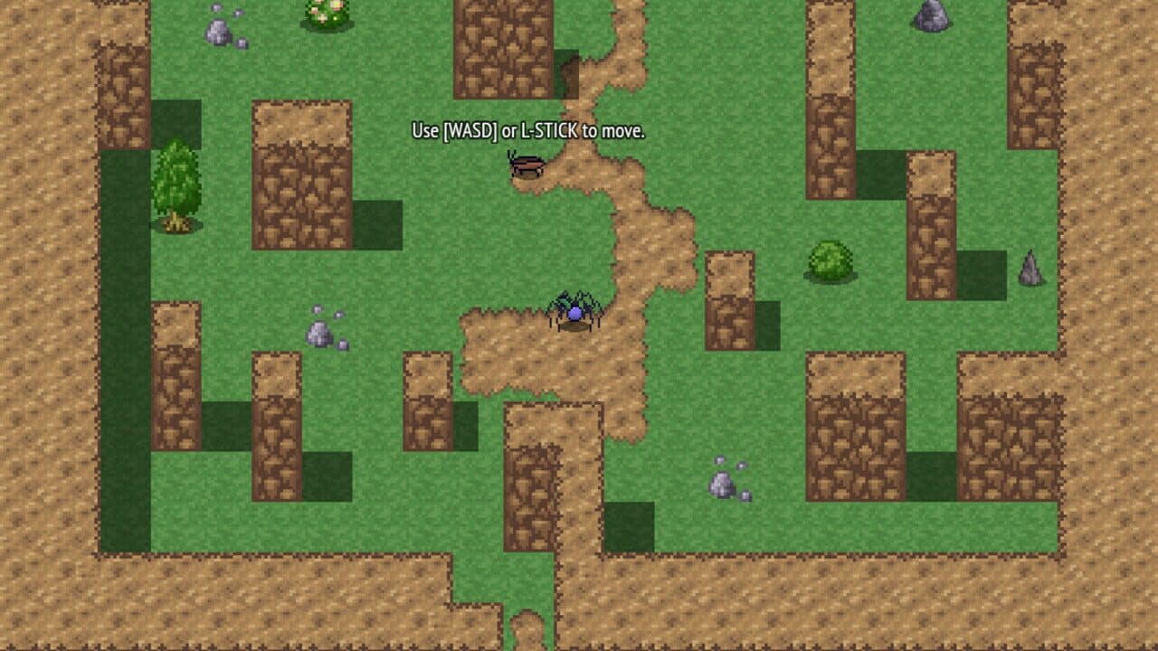 Berry thumbnail 7