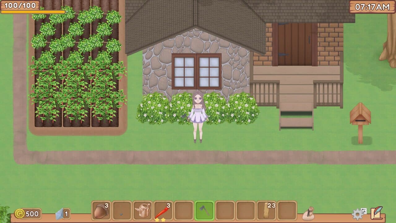 Crystal Road: Vale of Memories thumbnail 8