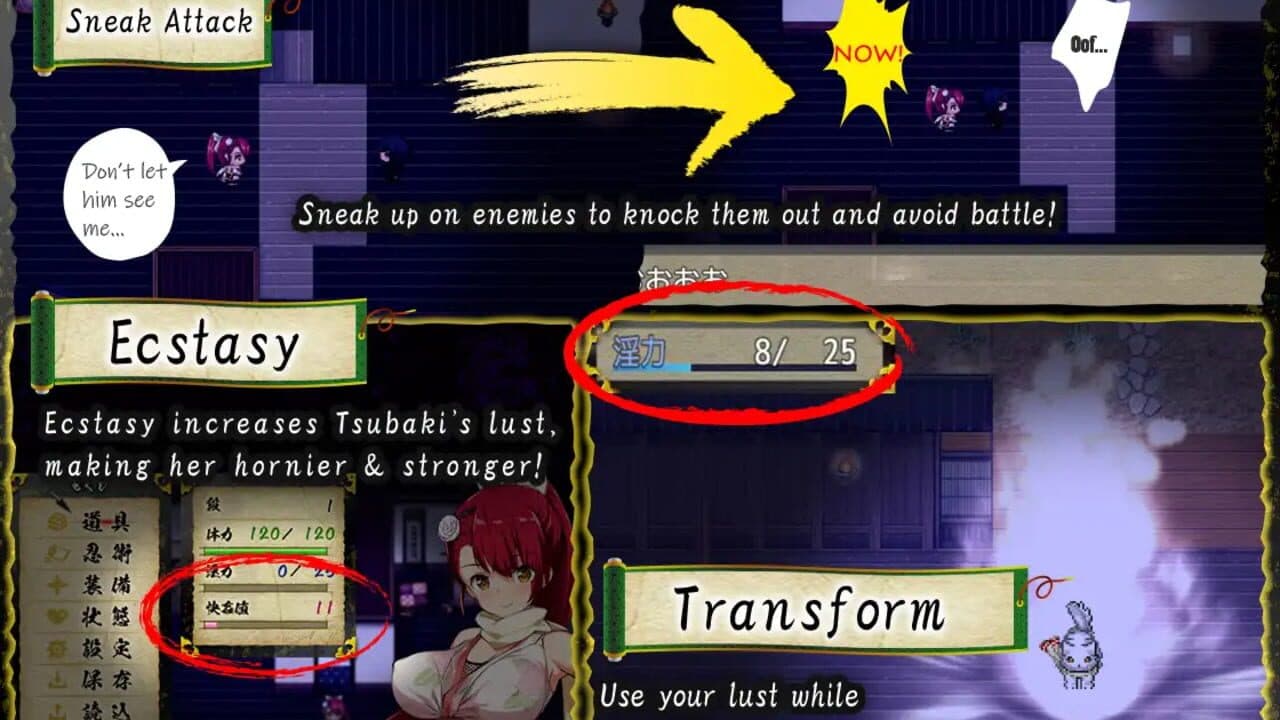 Kunoichi Tsubaki thumbnail 3