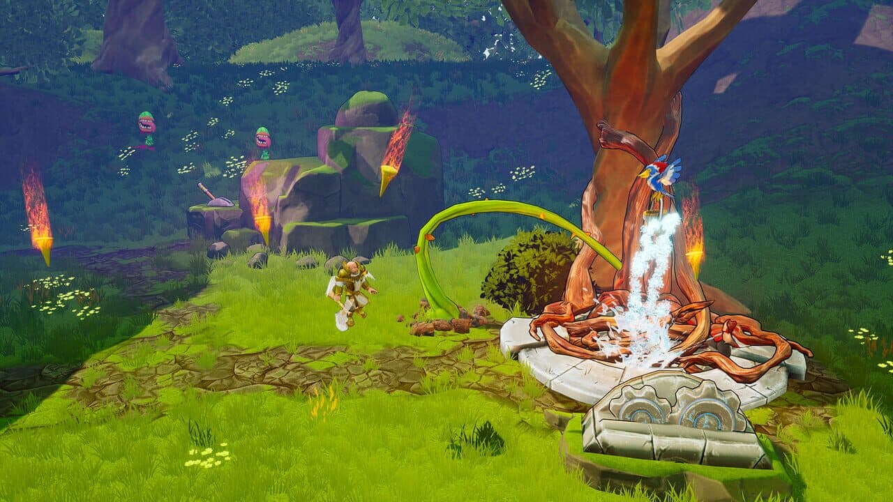 Cassiodora thumbnail 4