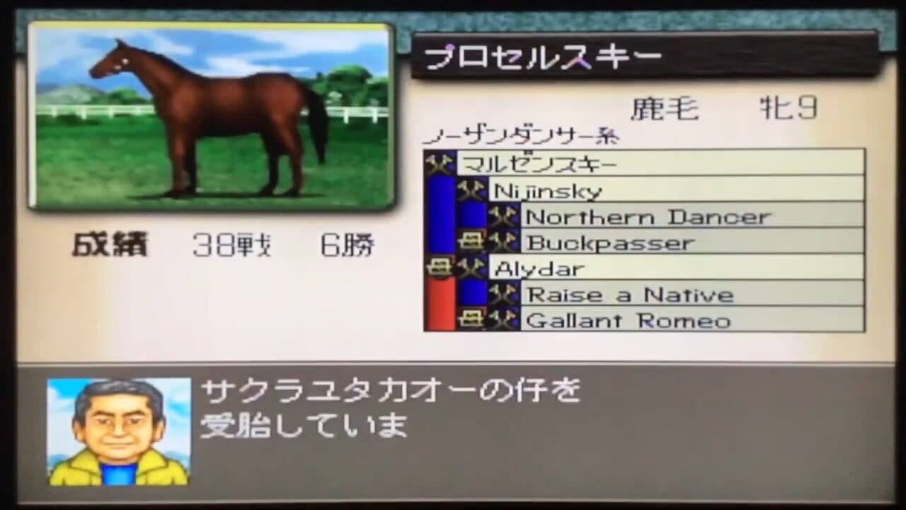 Derby Stallion 64 thumbnail 3