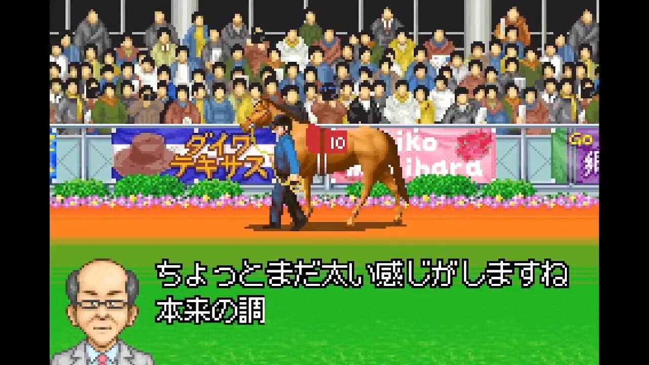 Derby Stallion Advance thumbnail 2