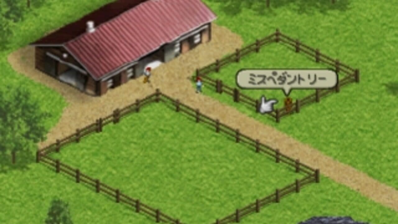 Derby Stallion 99 thumbnail 2