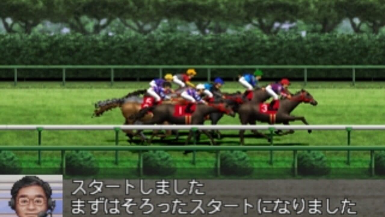 Derby Stallion 99 thumbnail 3