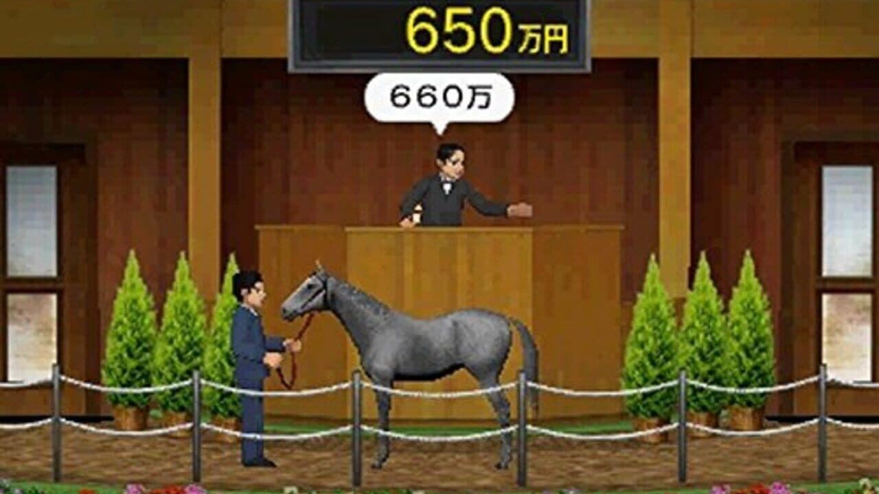Derby Stallion Gold thumbnail 3