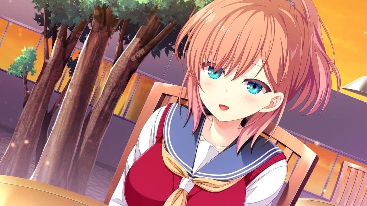 Houkago Cinderella: Complete Limited Edition thumbnail 5