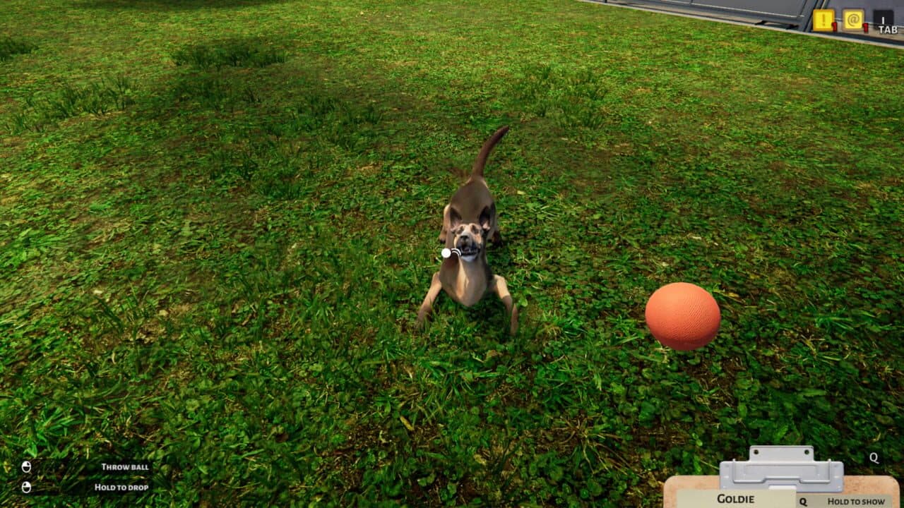 Animal Shelter Simulator thumbnail 10