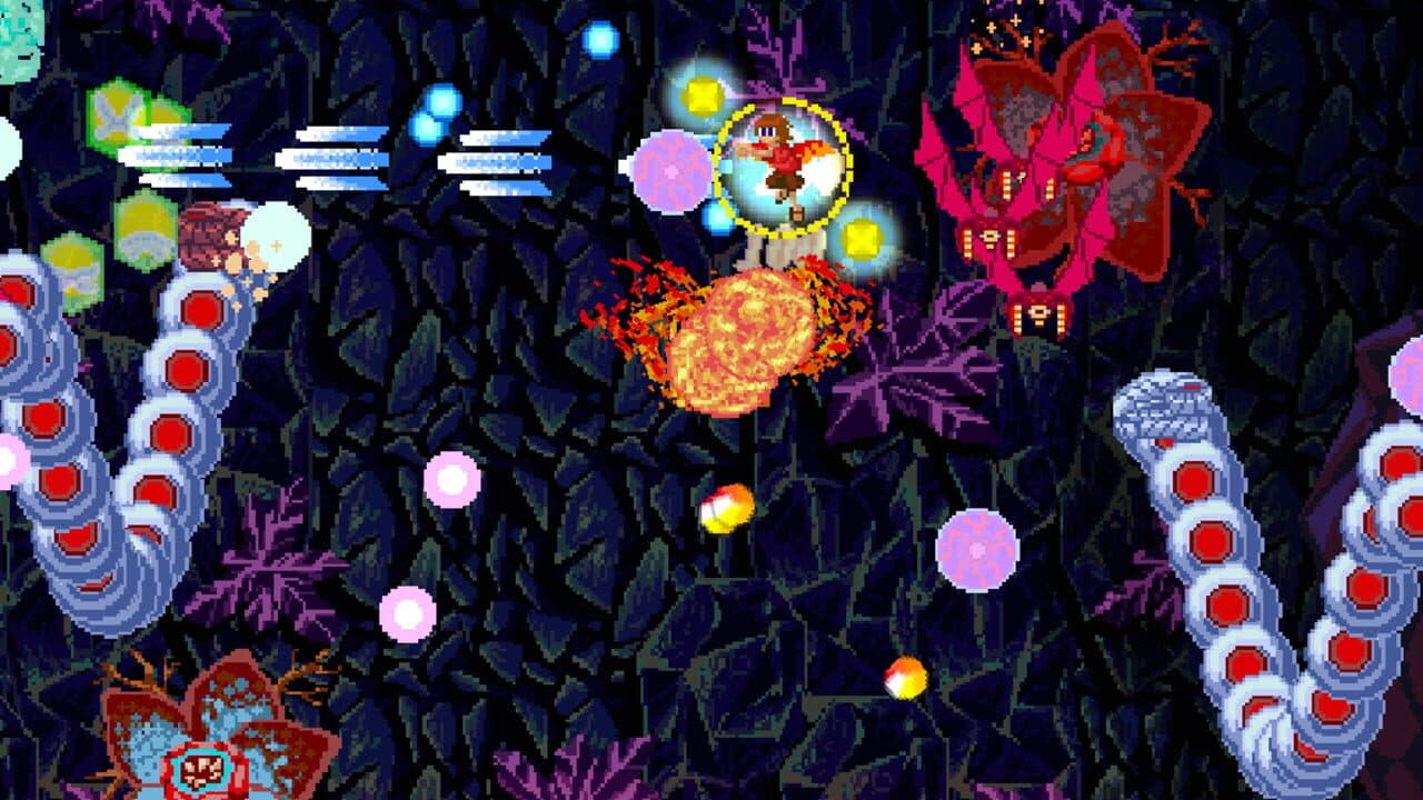 Papilio thumbnail 3