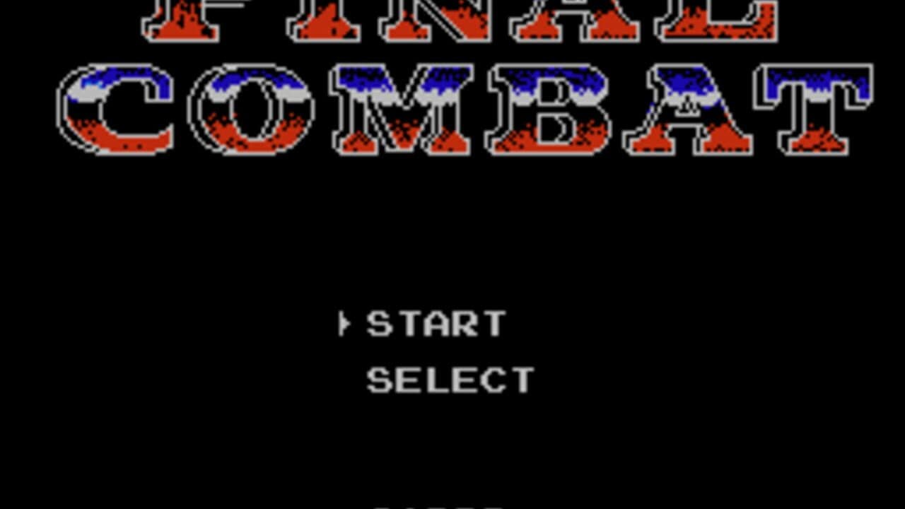 Final Combat screenshot 1