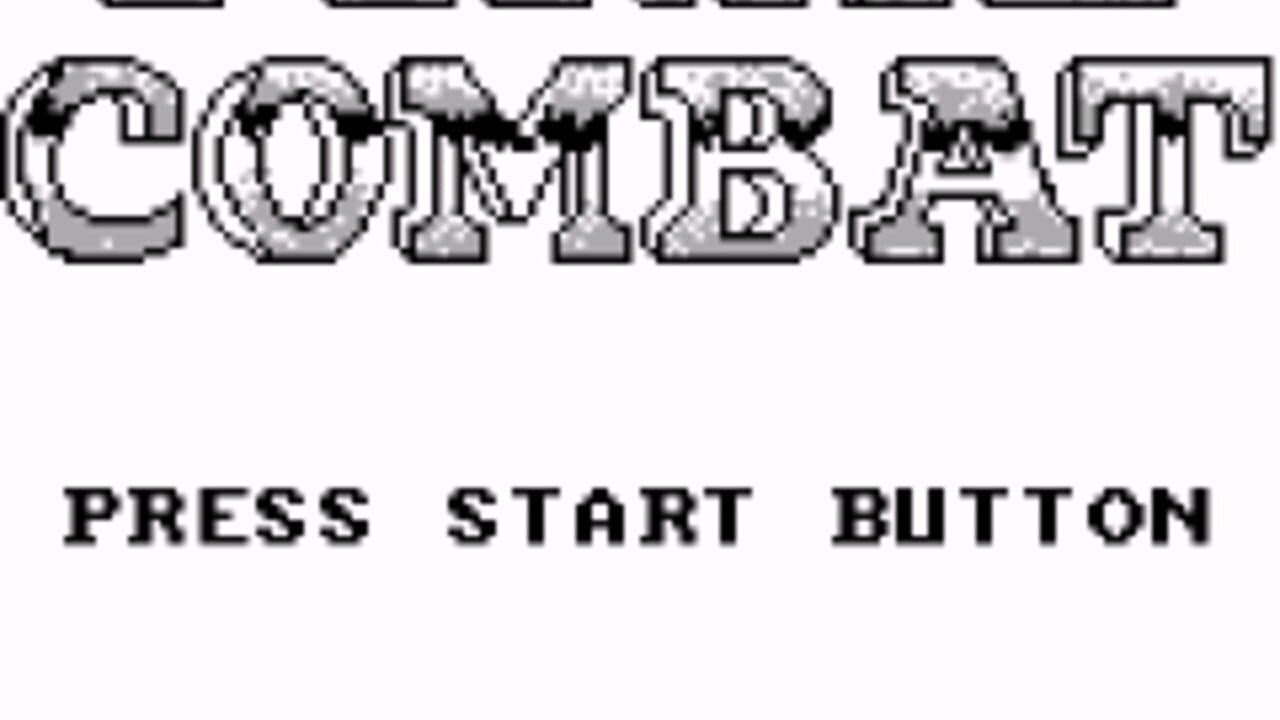 Final Combat screenshot 1