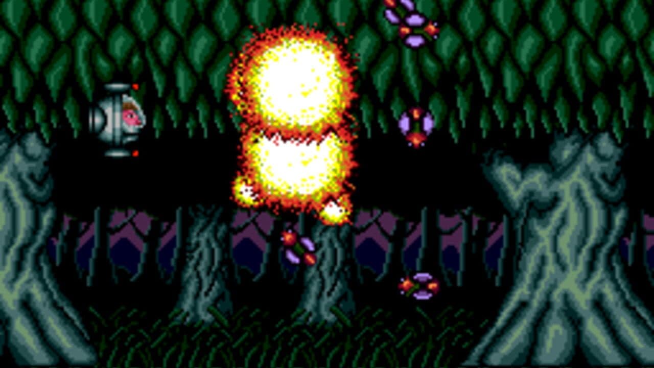 Barunba thumbnail 3