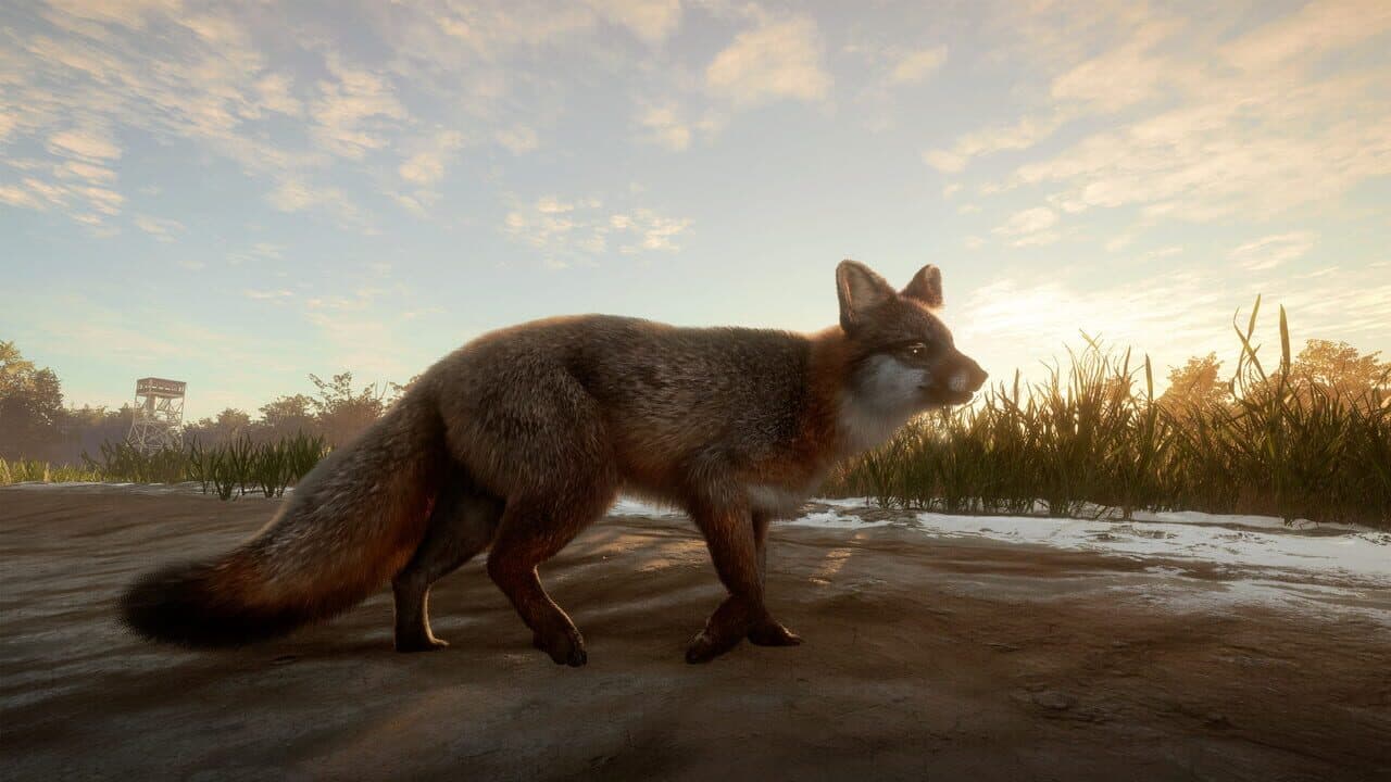 TheHunter: Call of the Wild - Mississippi Acres Preserve thumbnail 3