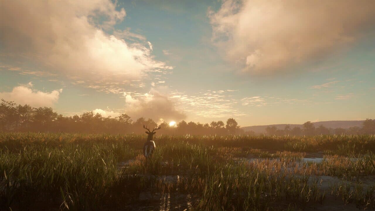 TheHunter: Call of the Wild - Mississippi Acres Preserve thumbnail 8
