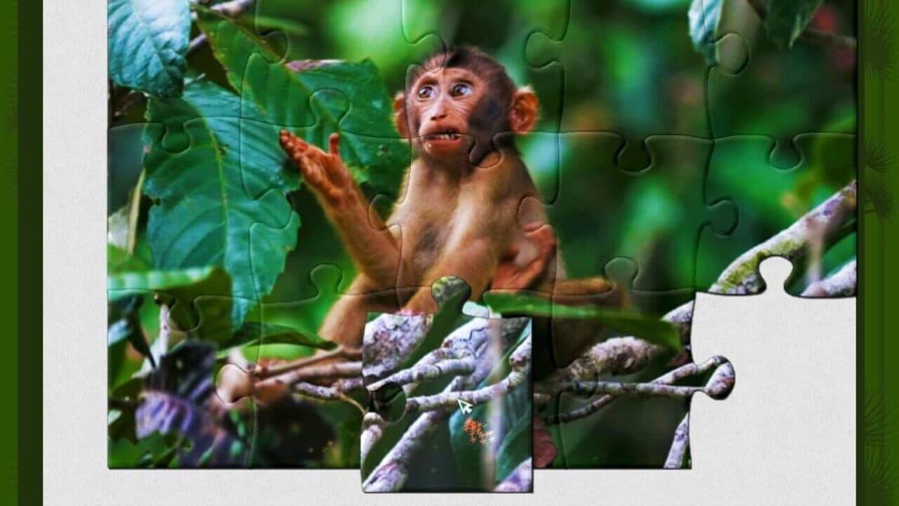 1001 Jigsaw: Wild Animals screenshot 1