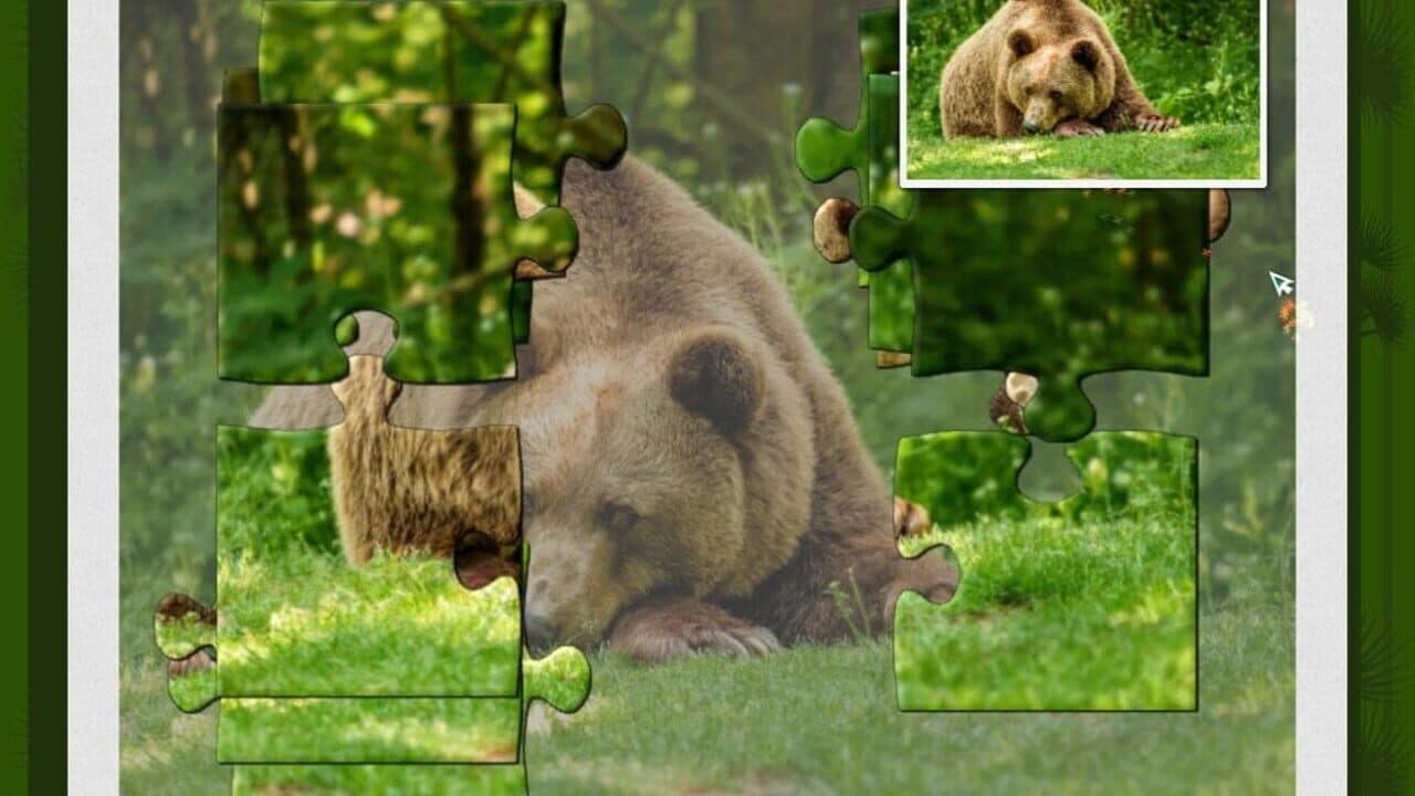 1001 Jigsaw: Wild Animals thumbnail 3