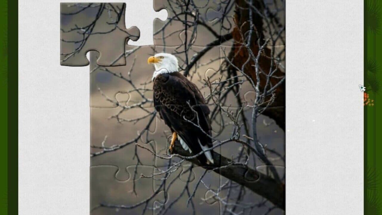 1001 Jigsaw: Wild Animals thumbnail 5