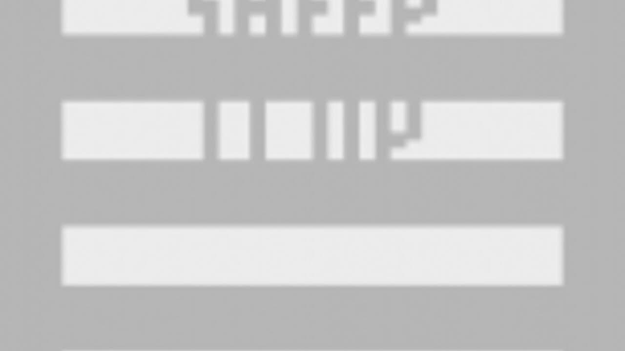 Sheep It Up! screenshot 1