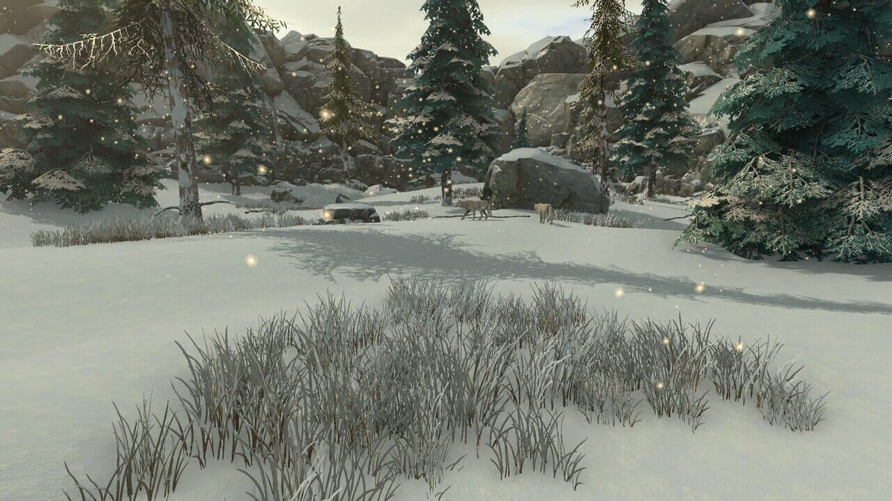 Map of Materials thumbnail 17