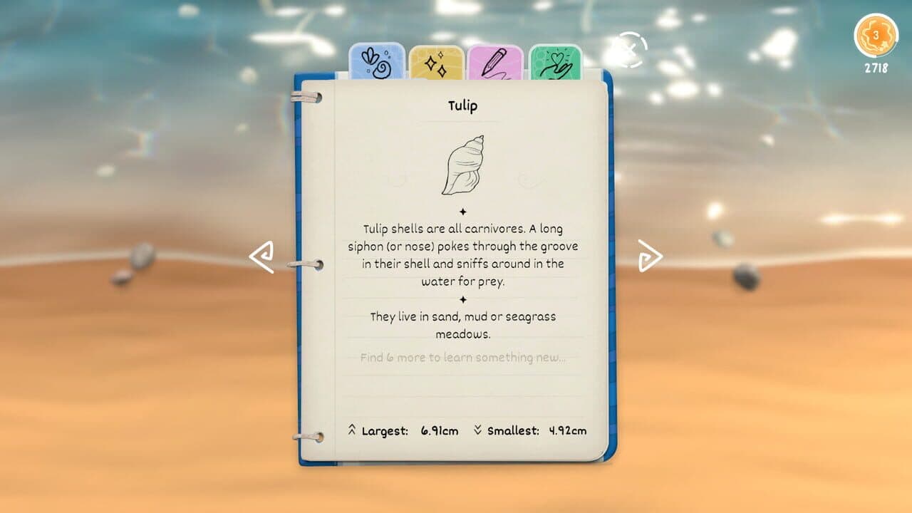 Seashell thumbnail 2