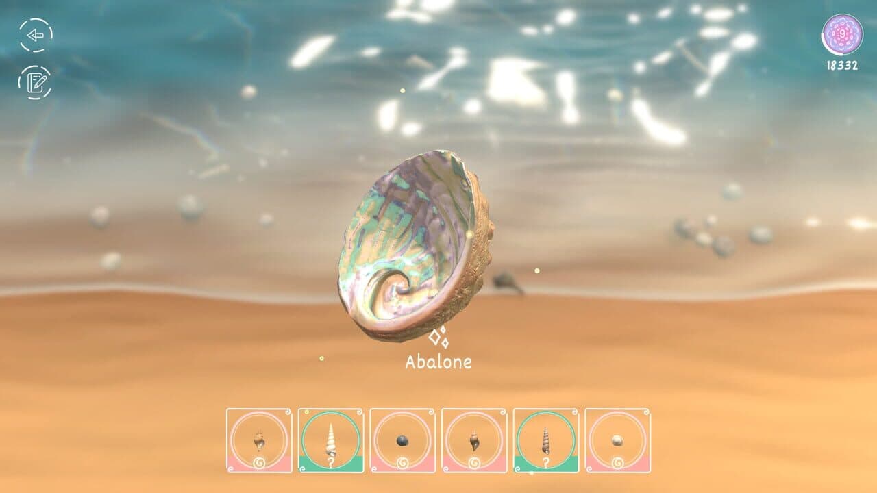 Seashell thumbnail 5