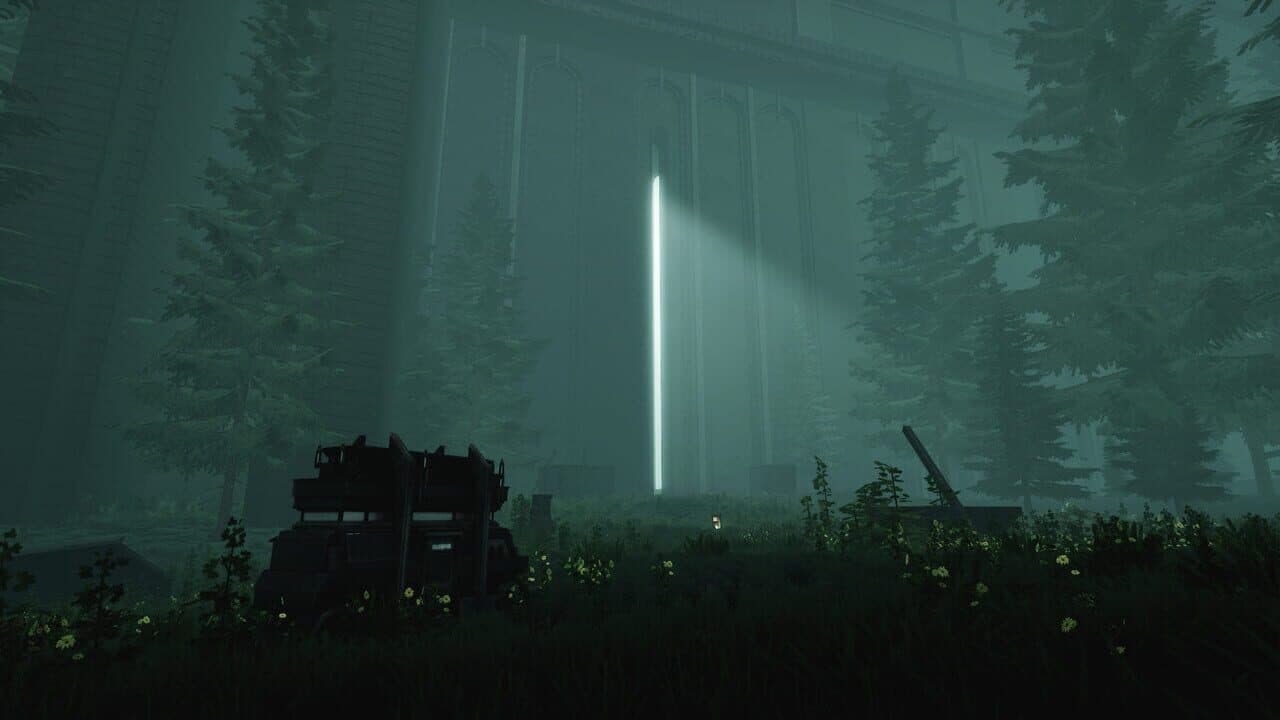 The Silent Swan thumbnail 2