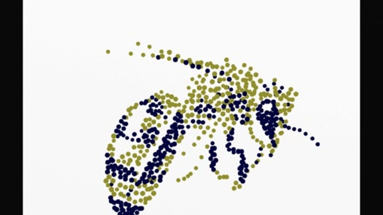 Anamorph screenshot 1