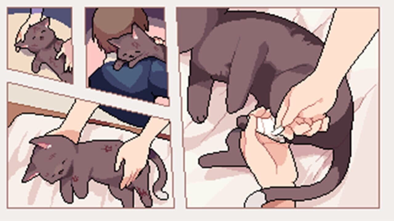 I Got a Millenary Cat thumbnail 5