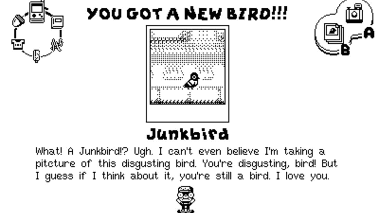 Casual Birder thumbnail 2