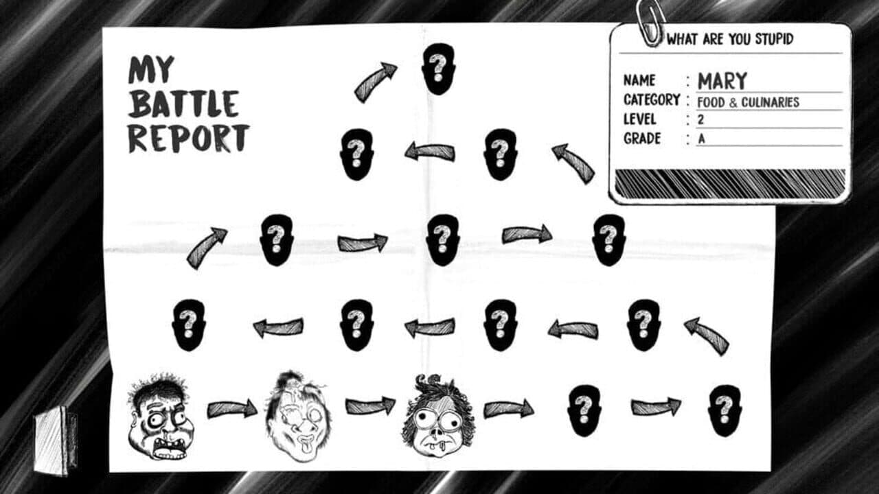 What Are You Stupid thumbnail 11