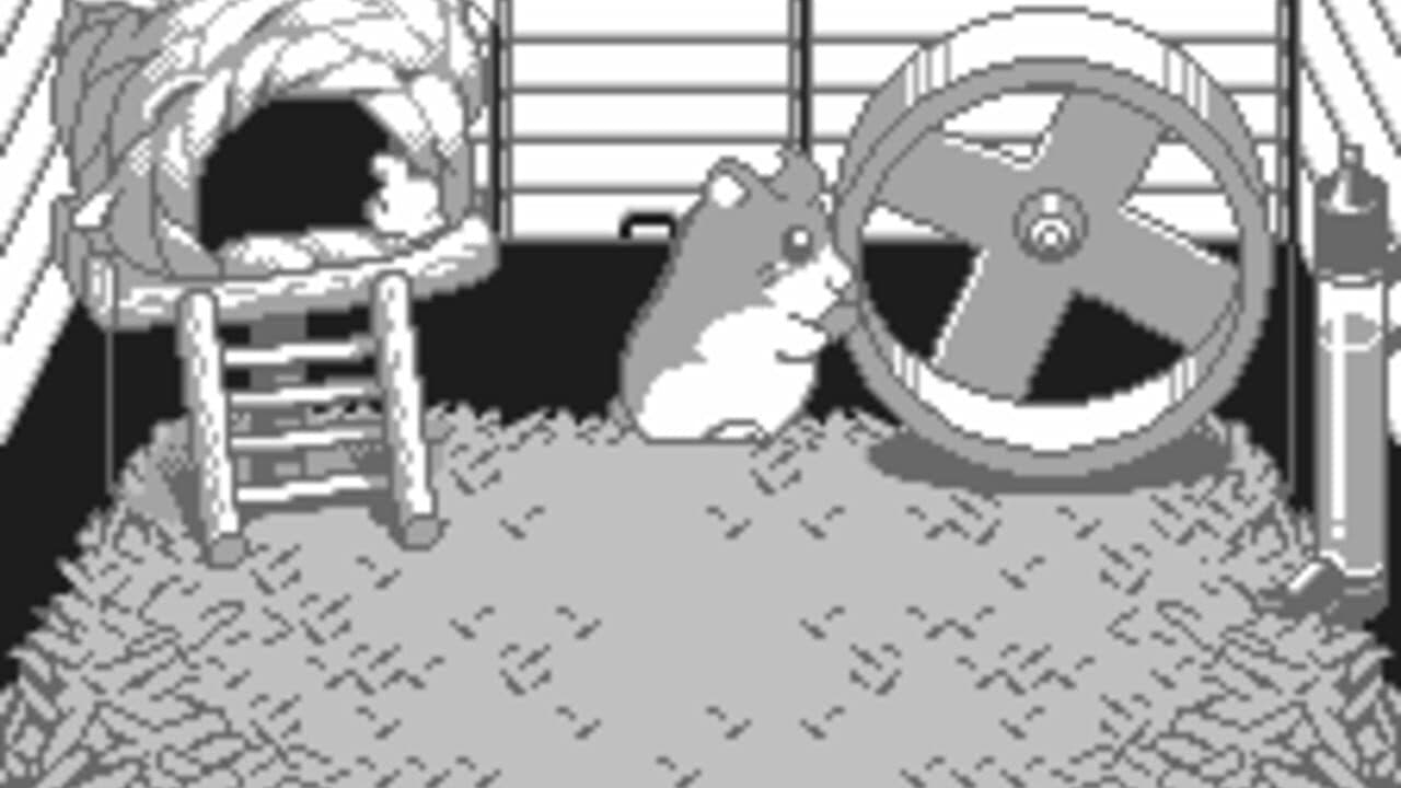 Dokodemo Hamster screenshot 1