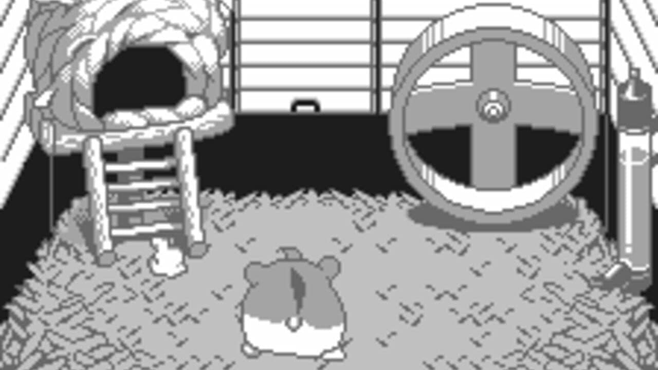 Dokodemo Hamster thumbnail 3