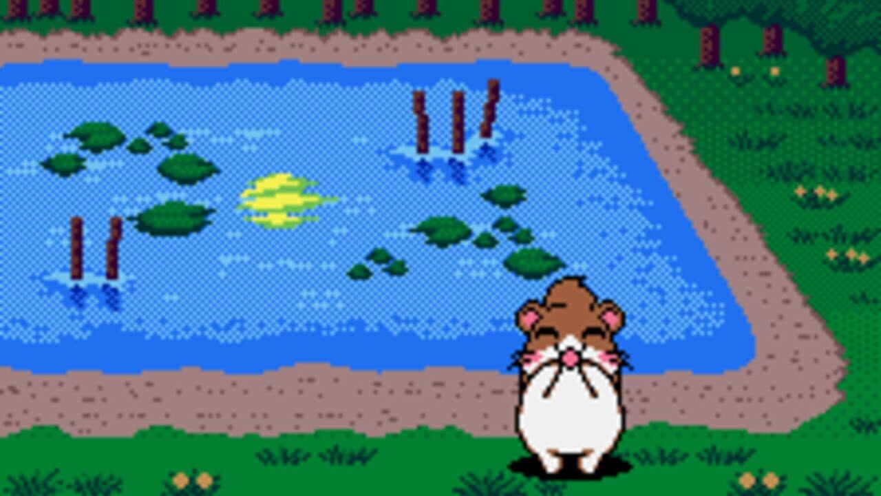 Dokodemo Hamster 3: O Dekake Safuran thumbnail 3