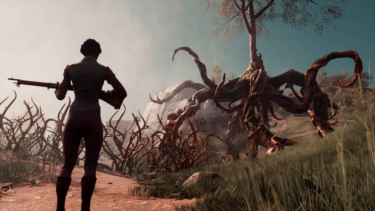 Nightingale thumbnail 10